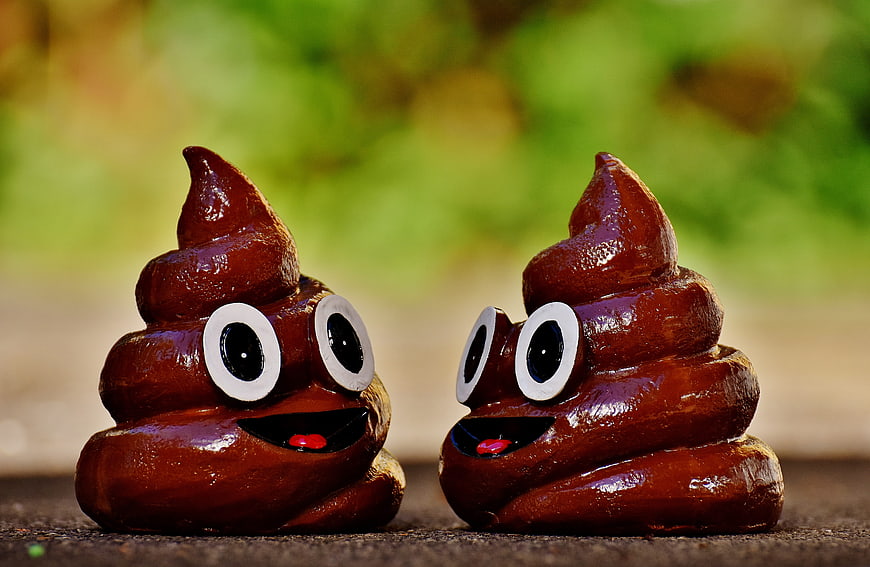 Two cute poop emoji figurines with googly eyes on a blurred background