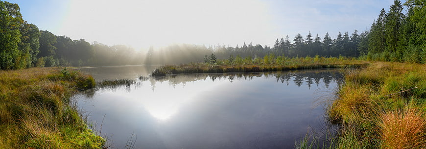 Panoramic misty lake landscape with morning sun rays