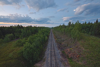 Aerial View of Railway Tracks Through Green Forest at Dusk