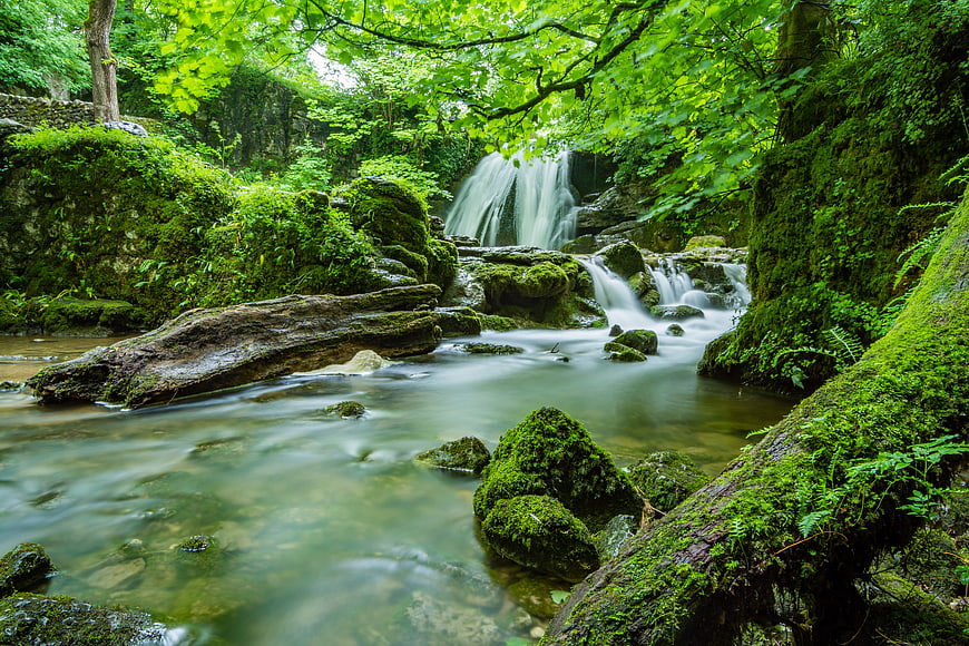 Serene waterfall in lush green forest with mossy rocks
