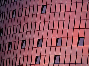 Modern glass building facade reflecting pink sunset sky
