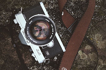 Vintage Canon AE-1 Camera on Mossy Rock