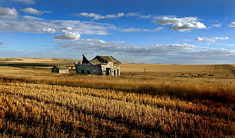 Abandoned Weathered Barn in Golden Prairie Landscape
