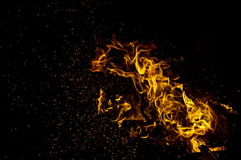 Vibrant Fire Flames And Sparks On Black Background