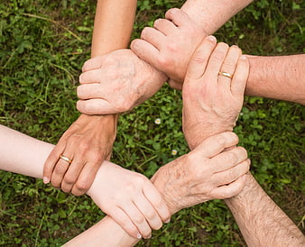 Multi-generational family hands holding arms in unity circle