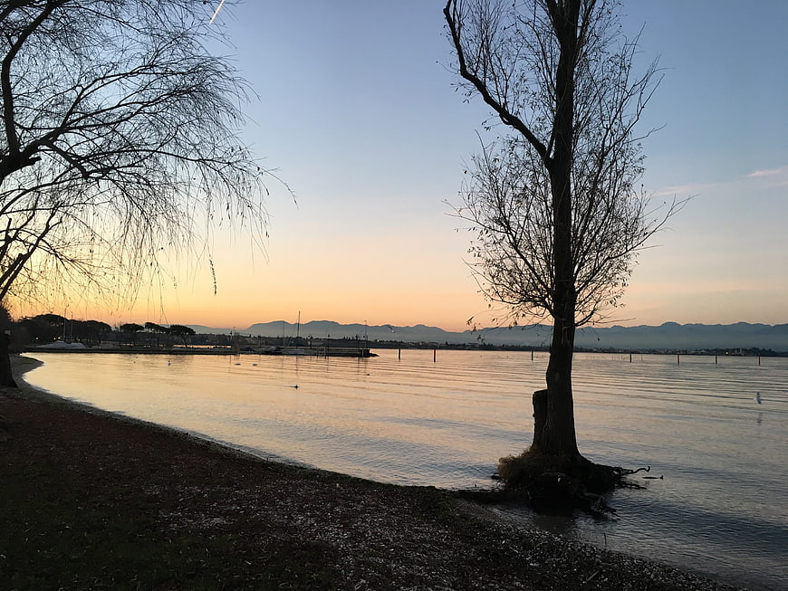 Serene Lake Sunset with Silhouetted Trees and Distant Mountains