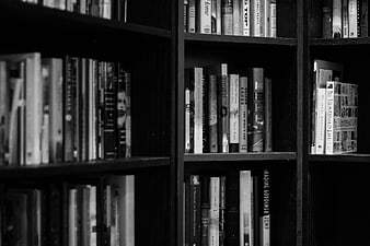 Black and White Bookshelf with Books
