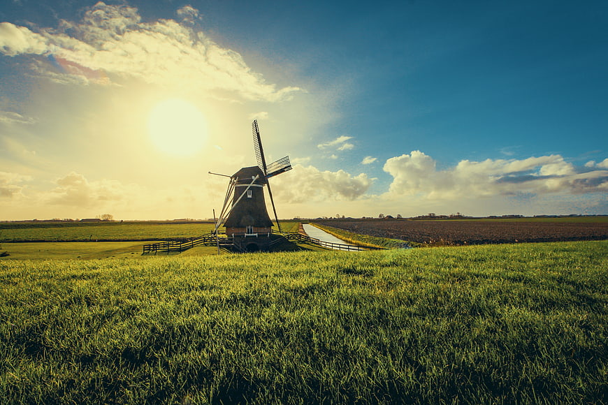 Traditional Dutch Windmill in Green Field at Sunset