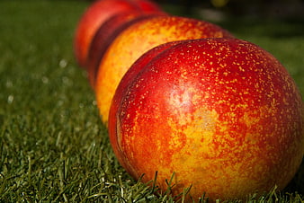 Ripe Red Peaches Lined Up On Green Grass