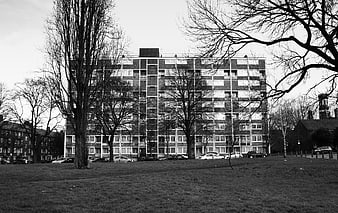 Black and white photo of brutalist council housing block