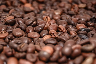 Close-Up of Roasted Coffee Beans with Shallow Depth of Field