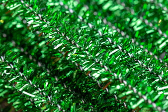 Close-up of shiny green tinsel texture background