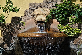 Stone Lion Head Fountain with Flowing Water in Garden