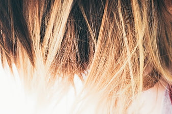 Close-up of blonde hair strands with natural sunlight