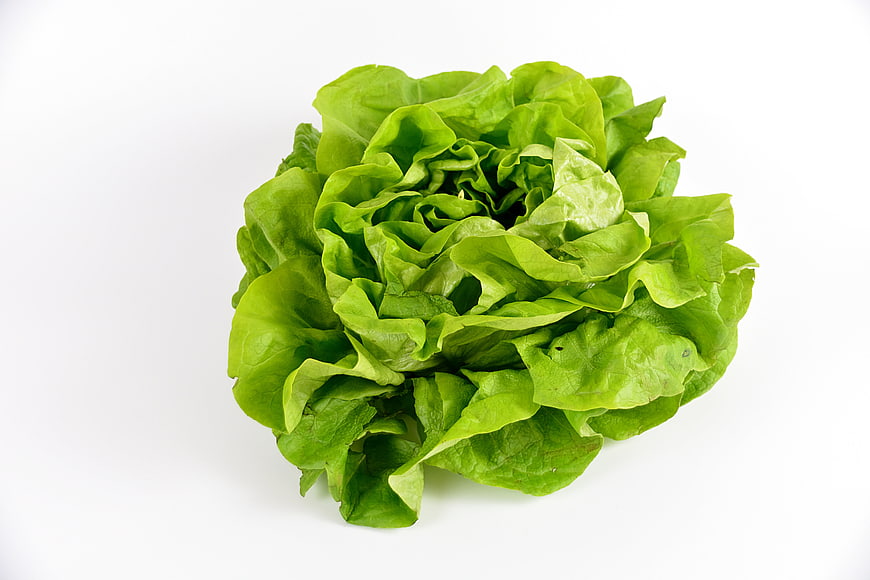 Fresh Green Lettuce Head Isolated On White Background