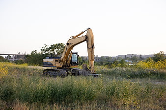 Yellow Excavator in Grassy Field with Wildflowers
