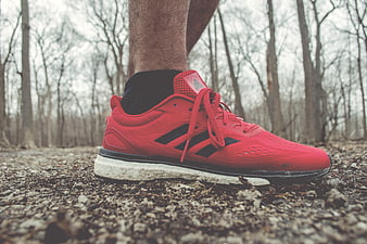 Close-up of red running shoe on gravel trail