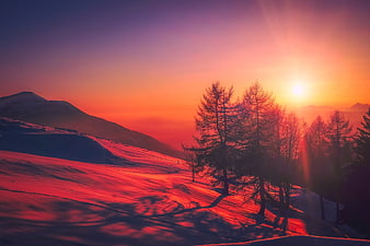 Vibrant Sunset Over Snowy Mountain Slope with Silhouetted Trees