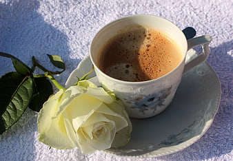 White Rose and Coffee Cup on Saucer in Sunlight