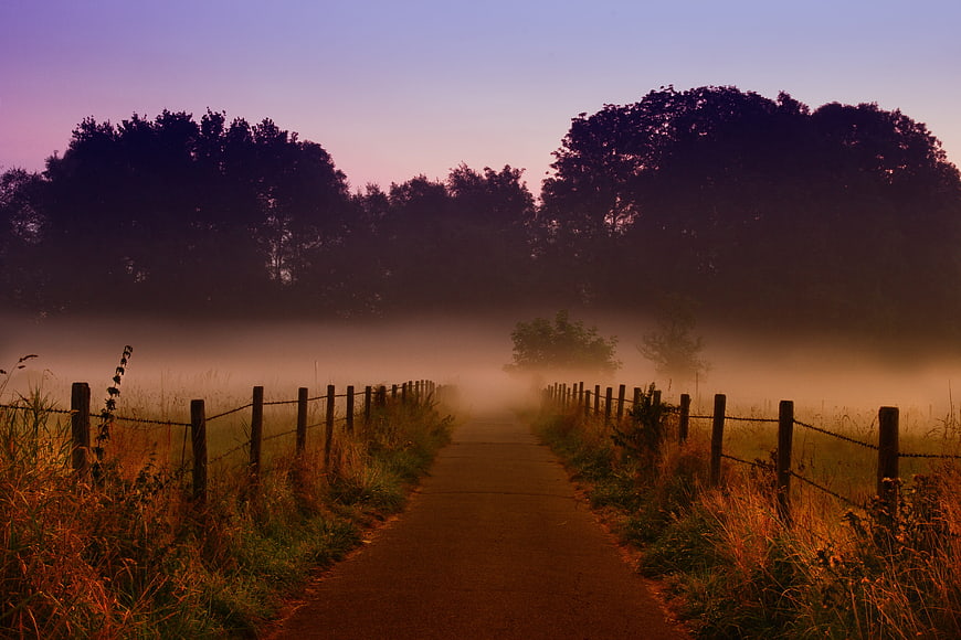 Misty rural path at dawn with fence and trees