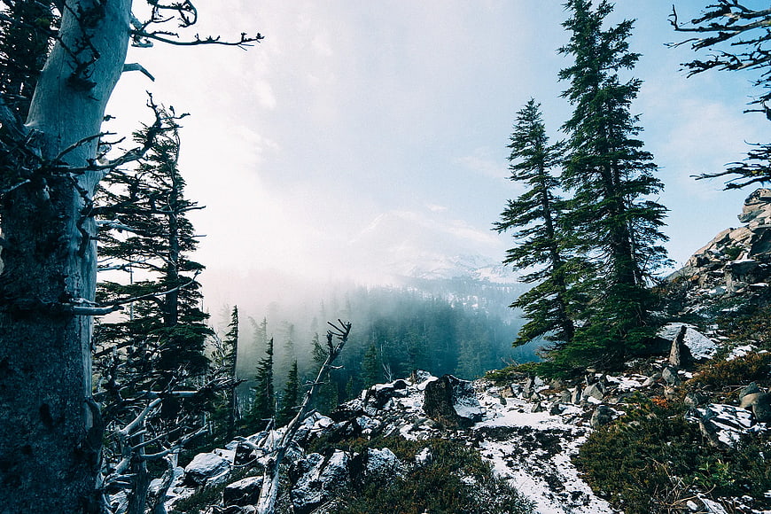 Snowy Mountain Forest Trail with Misty Peaks