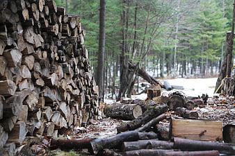 Stacked firewood logs in snowy forest background