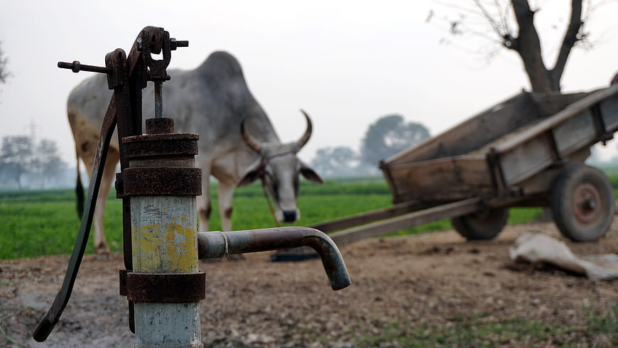 Rusty Hand Pump in Rural Farm Field with Bull