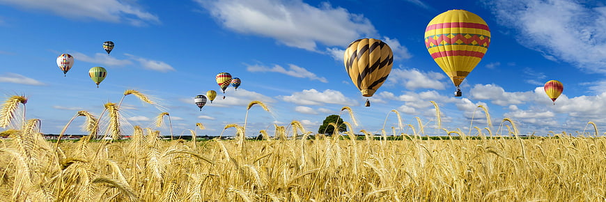 Hot Air Balloons Flying Over Golden Wheat Field Panorama