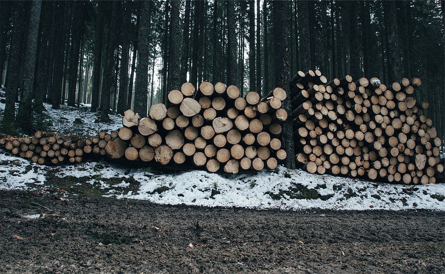 Stacks of cut timber logs in a snowy winter forest