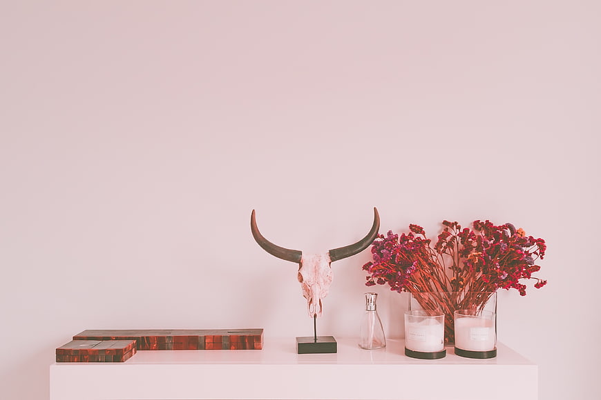 Minimalist Pink Interior with Animal Skull and Dried Flowers
