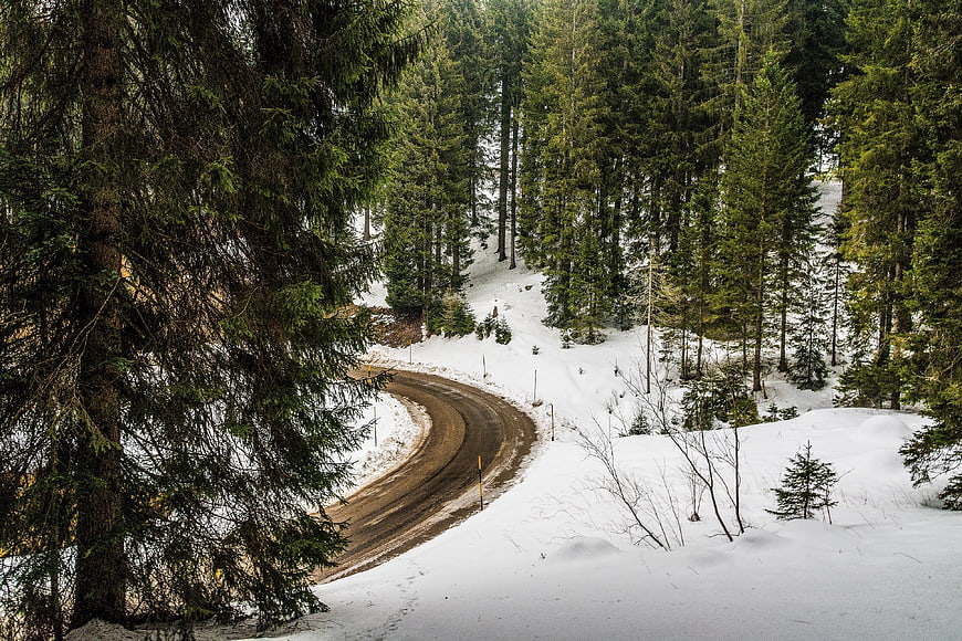 Winding dirt road through snowy evergreen forest landscape