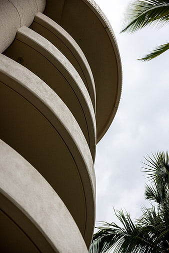 Low Angle View of Curved Modern Architecture with Palm Trees