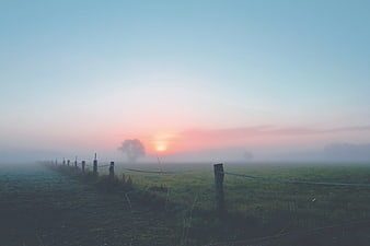 Misty Sunrise Over Green Pasture With Fence