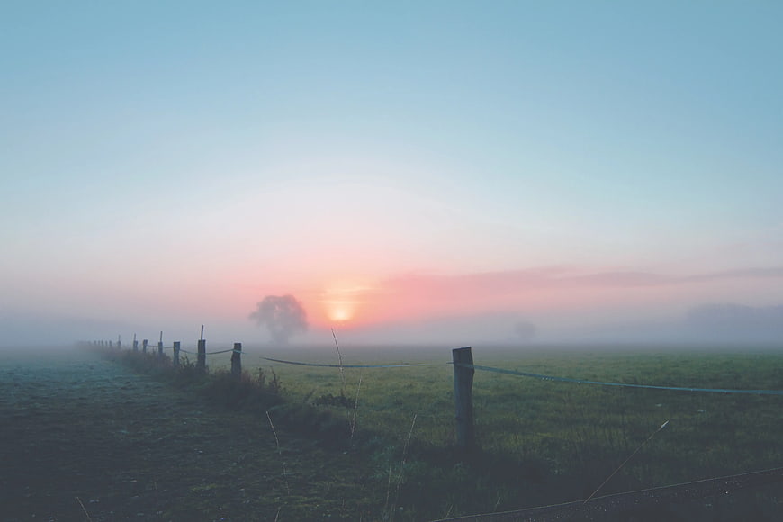 Misty Sunrise Over Green Pasture With Fence