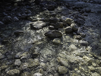 Clear stream flowing over gray rocks in nature