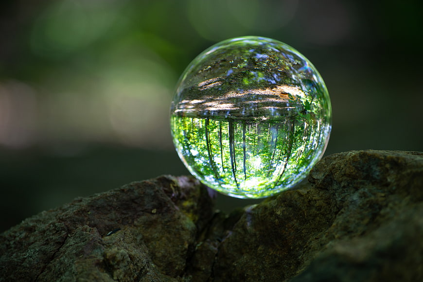 Crystal Ball Reflecting Forest on Rock