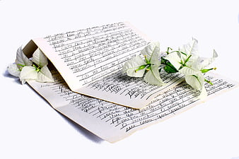 Handwritten Love Letter With White Flowers On White Background