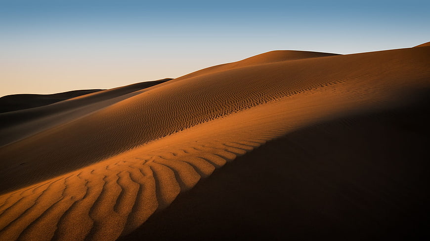 Golden sand dunes with ripples at dawn