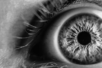 Extreme Close-Up of Human Eye in Black and White