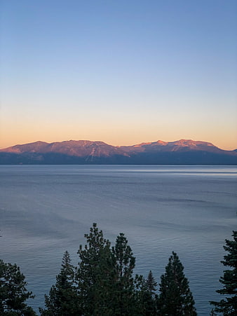 Serene Lake Tahoe Sunset with Pine Trees and Mountains