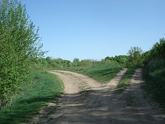Dirt Road Fork in Green Countryside Landscape