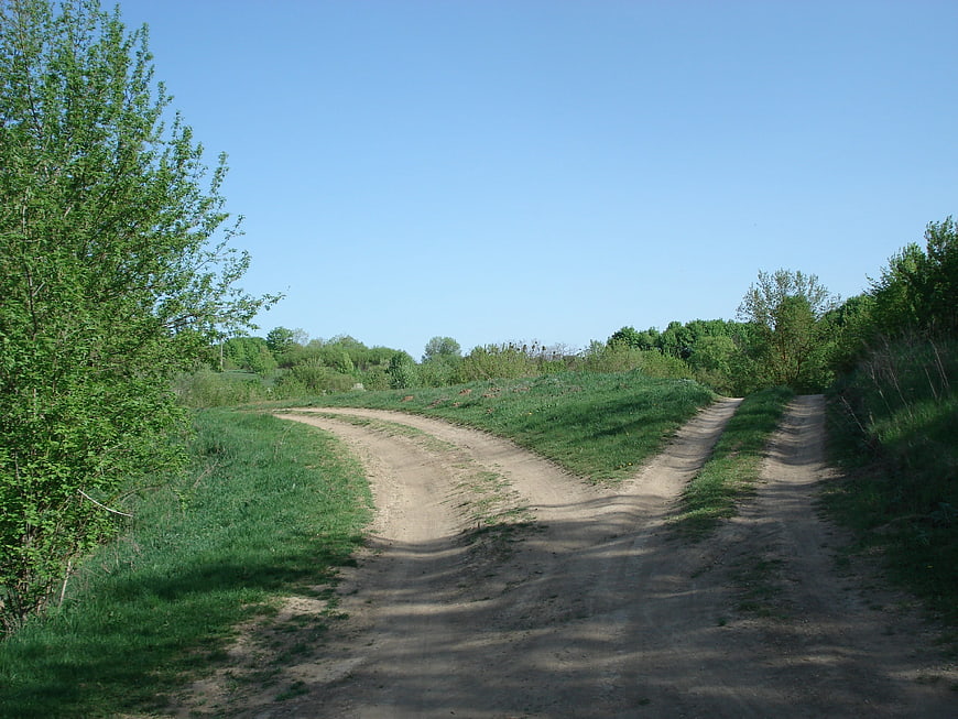 Dirt Road Fork in Green Countryside Landscape