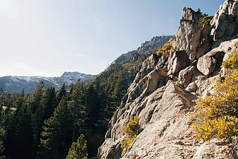 Hiker climbing rocky mountain cliff with pine forest background