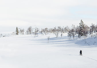 Lone Hiker Walking Through Snowy Winter Landscape