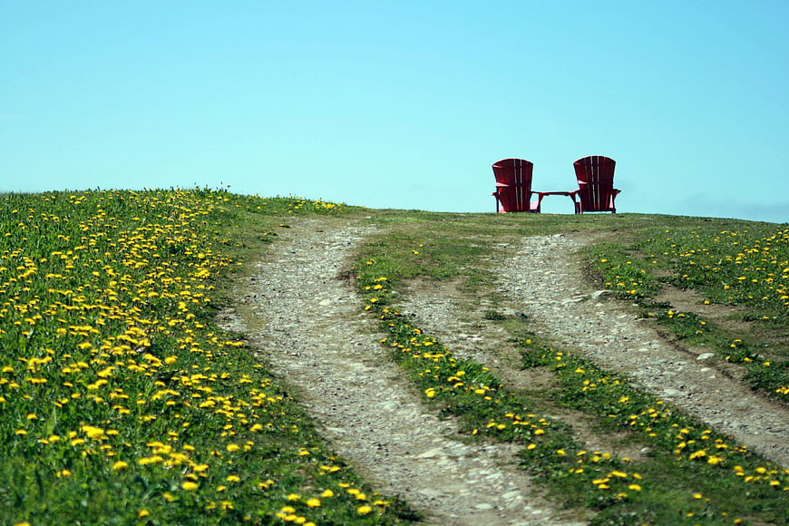 Two Red Adirondack Chairs on Grassy Hill with Yellow Flowers