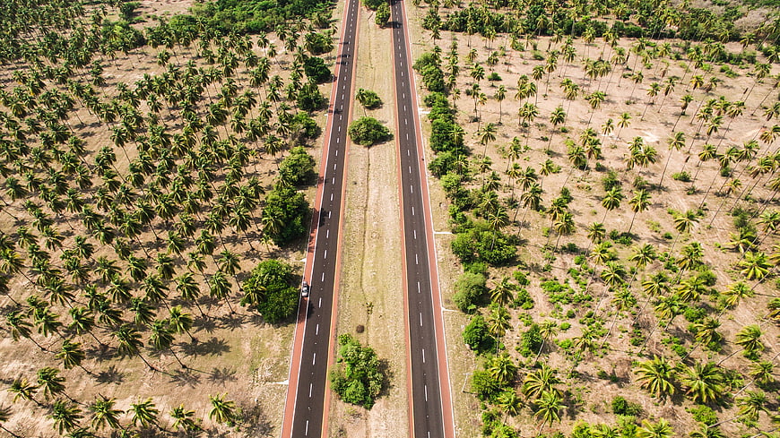 Aerial View of Highway Through Coconut Palm Plantation