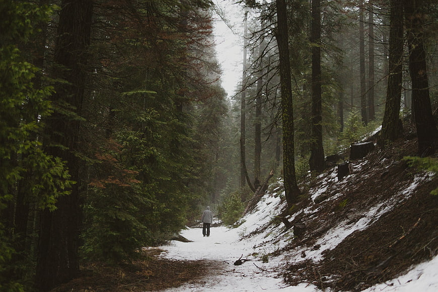 Lone figure walking on snowy forest path in fog