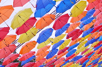 Colorful umbrellas hanging overhead in a vibrant street art installation