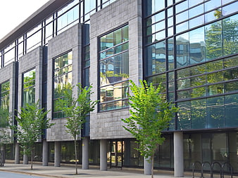 Modern office building with glass facade and green trees