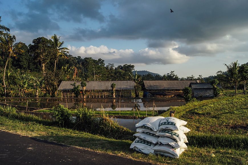 Rural landscape with stacked fertilizer bags and fish ponds